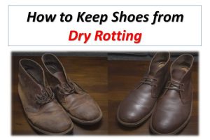 How to Keep Shoes from dry rotting