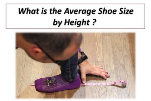 Average Shoe Size by height